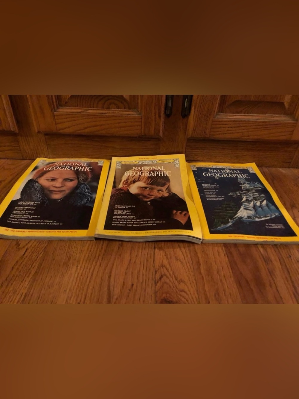 1976 National Geographic Bundle